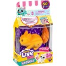 Little Live Pets - Needees S2 Einzelpack, sortiert